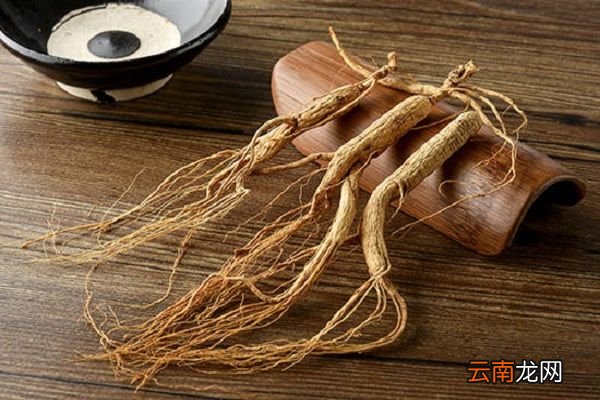 参的功效与作用 人参的食用禁忌