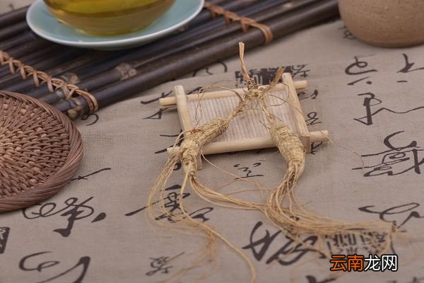 参的功效与作用 人参的食用禁忌