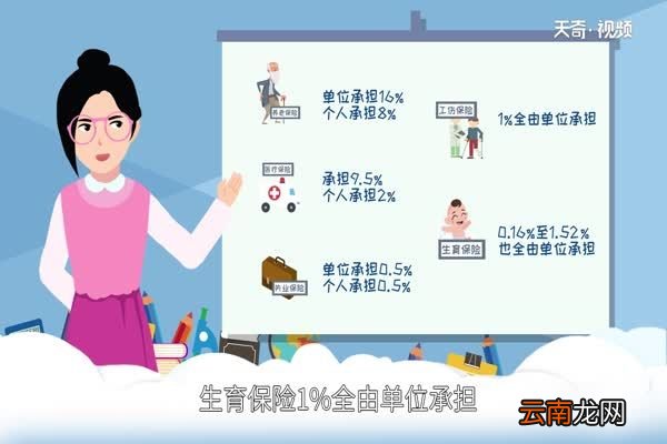 五险是哪五险 五险有什么特点