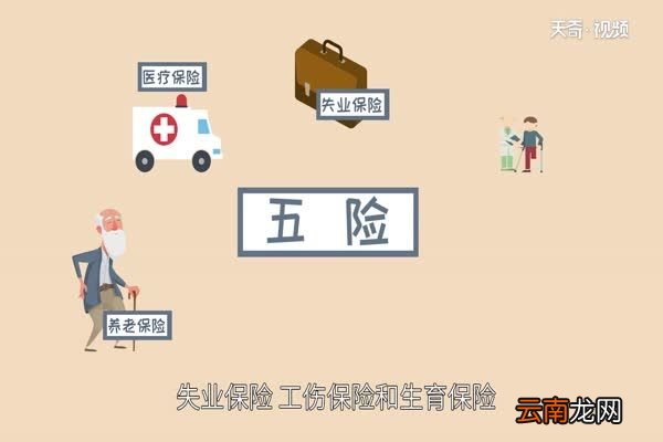 五险是哪五险 五险有什么特点