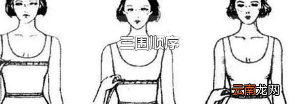 三围顺序