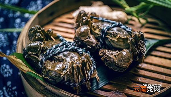 新鲜大闸蟹怎样保存 活的大闸蟹怎么保存不容易死