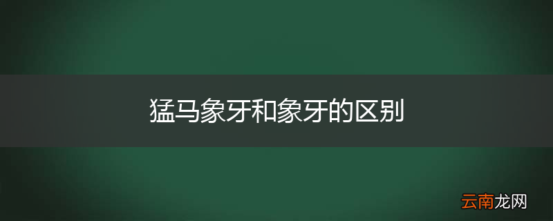 猛马象牙和象牙的区别