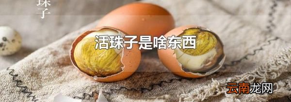 活珠子是啥东西