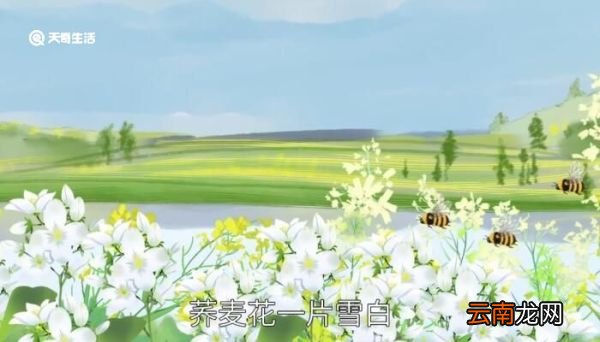 其二十五 四时田园杂兴赏析 四时田园杂兴（其二十五）诗歌赏析