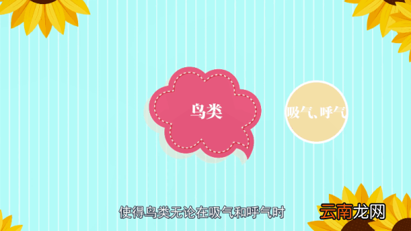 鸟是恒温动物吗 鸟是不是恒温动物