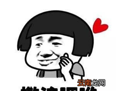 撒浪嘿呦是什么意思？