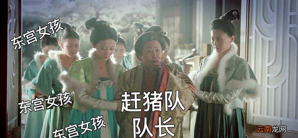 猪跑是什么意思？