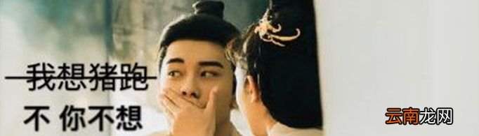 猪跑是什么意思？