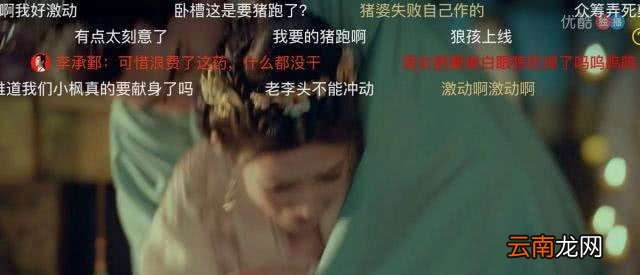 猪跑是什么意思？