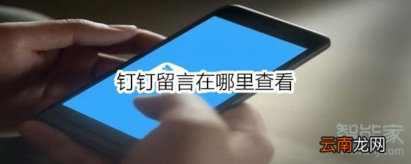 钉钉留言在哪里查看