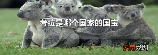 考拉是哪个国家的国宝