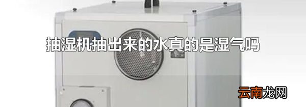 抽湿机抽出来的水真的是湿气吗