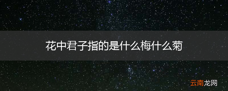 花中君子指的是什么梅什么菊