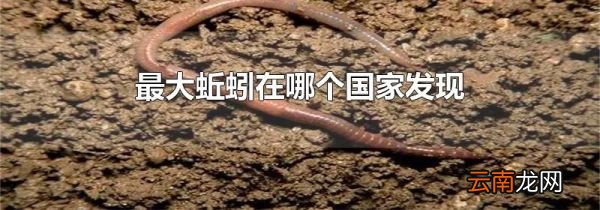 最大蚯蚓在哪个国家发现