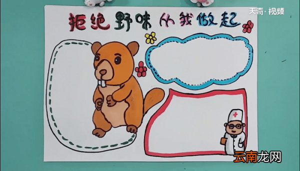 保护野生动物手抄报 保护野生动物手抄报画报