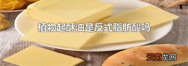 植物起酥油是反式脂肪酸吗