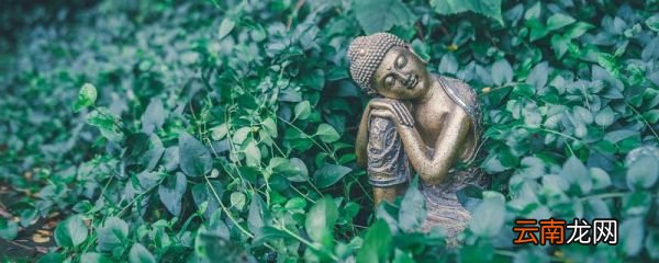 相由心生的下句是什么 相由心生下一句是啥