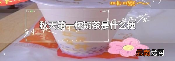 秋天第一杯奶茶是什么梗