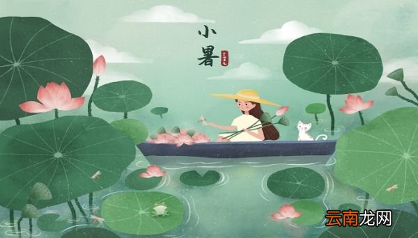 节气夏至开的花都有什么 夏至开的花都有哪些