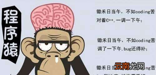 995工作制是什么意思？