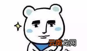 995工作制是什么意思？
