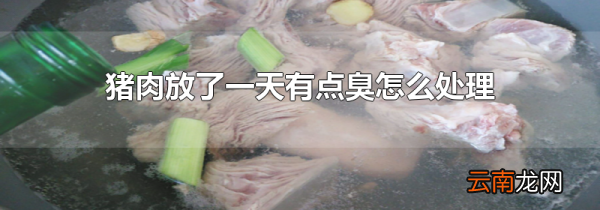 猪肉放了一天有点臭怎么处理