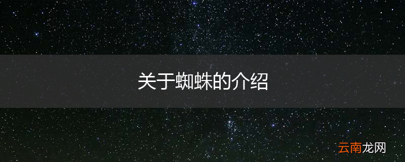 关于蜘蛛的介绍