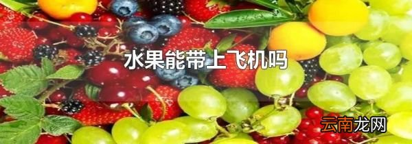 水果能带上飞机吗