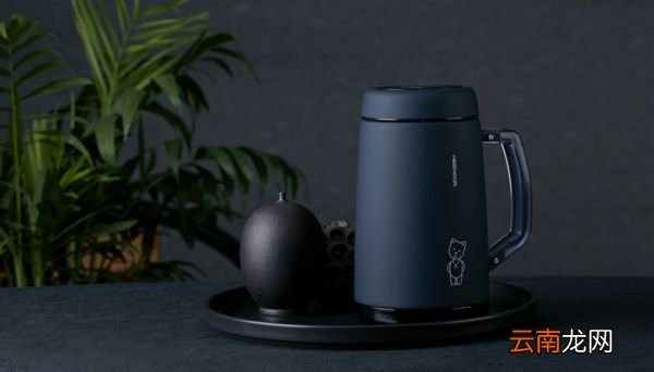 电热杯品牌有哪些 中国十大电热杯品牌