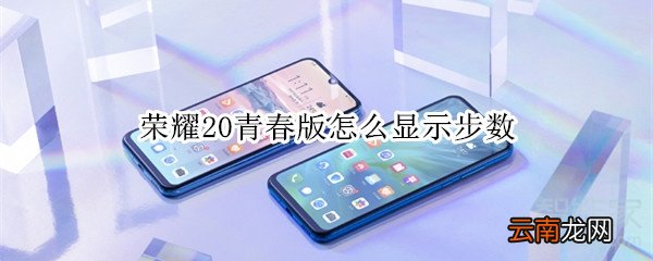荣耀20青春版怎么显示步数
