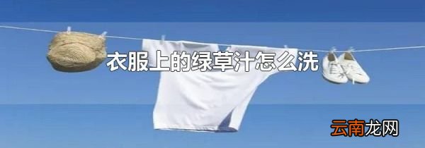 衣服上的绿草汁怎么洗