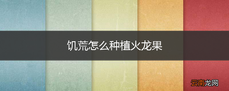 饥荒怎么种植火龙果