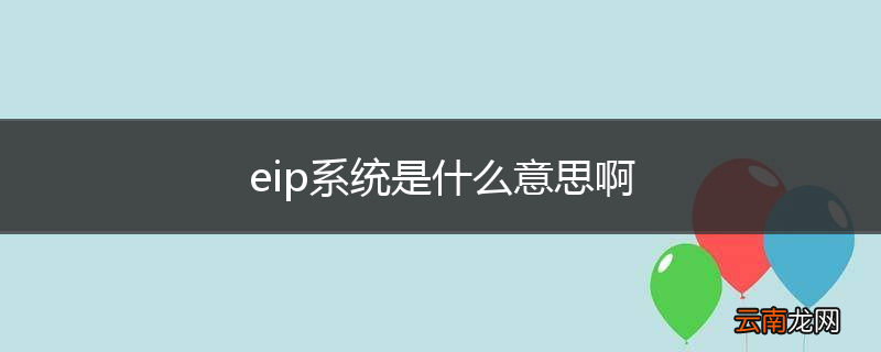 eip系统是什么意思啊