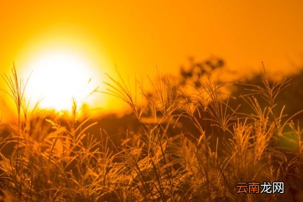 不畏浮云遮望眼,自缘身在最高层赏析登飞来峰典故