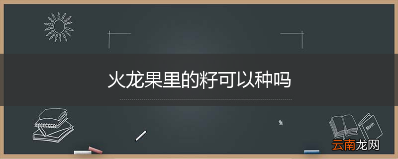 火龙果里的籽可以种吗
