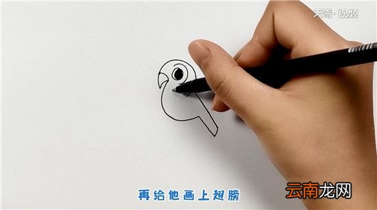 鸟简笔画
