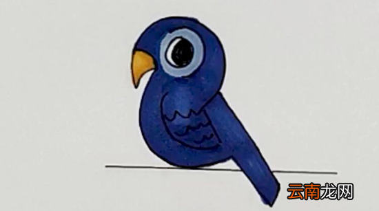 鸟简笔画