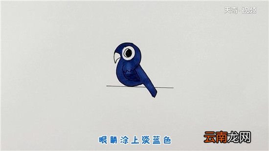 鸟简笔画