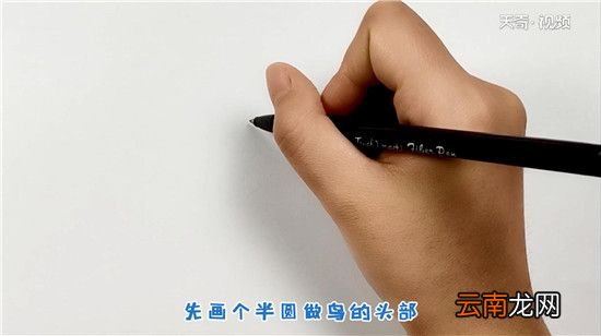鸟简笔画