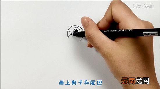 鸟简笔画
