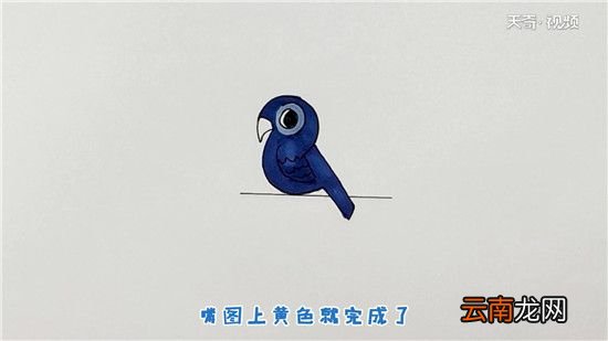 鸟简笔画