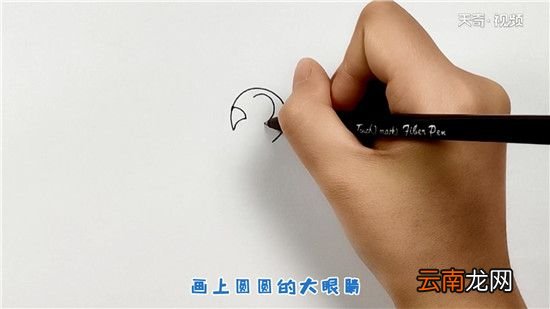 鸟简笔画