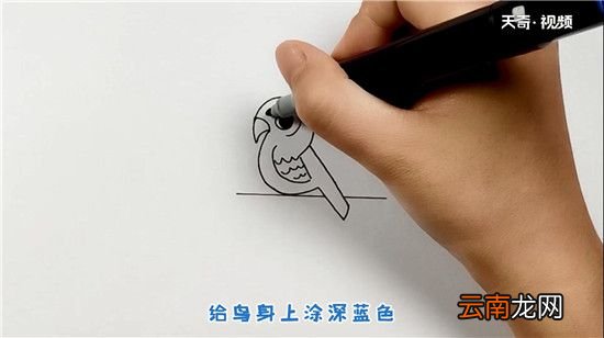 鸟简笔画