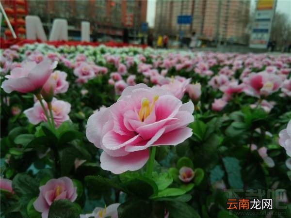 魅蓝5s值不值得买？魅蓝5s有什么优缺点？