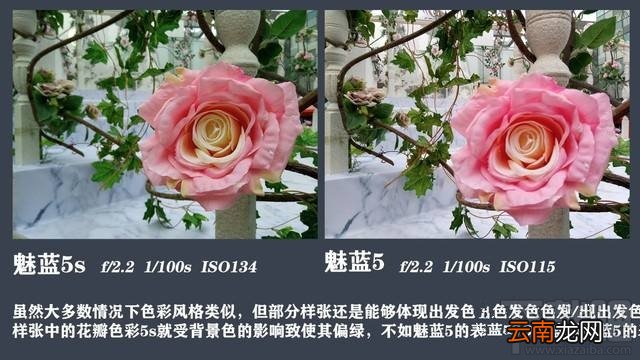 魅蓝5s和魅蓝5哪个拍照好？魅蓝5s与魅蓝5拍照样张对比