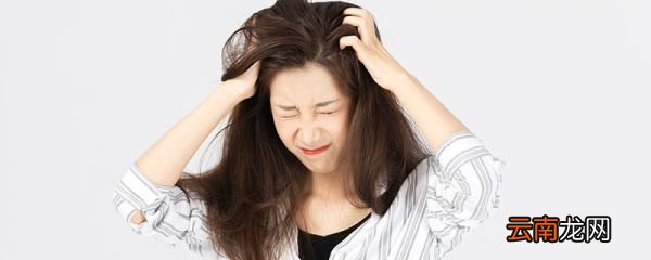 长头虱怎样快速处理 去除头虱的最快方法