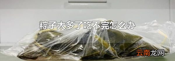 粽子太多了吃不完怎么办