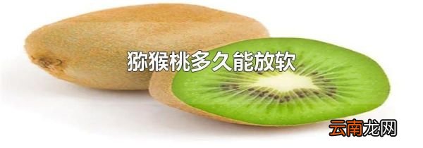 猕猴桃多久能放软