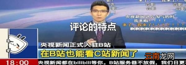 评论的特点